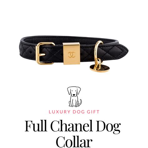 chanel pet collar|full Chanel dog collar.